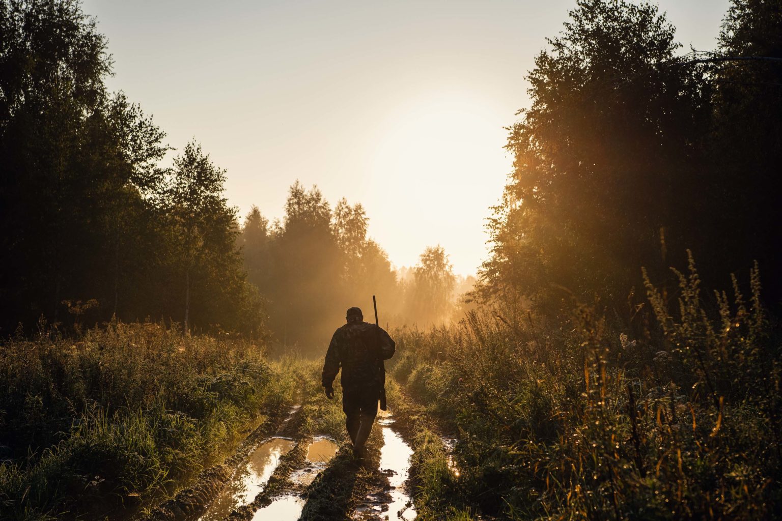 Tagjagd/ Nachtjagd Tagjäger/ Nachtjäger Aktuelles Stiftung Wald